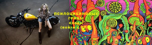 прущие крисы Белокуриха
