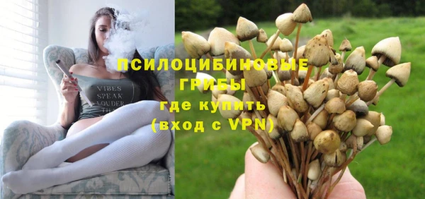гашик Баксан