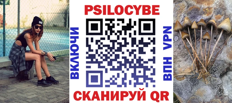 закладка  Киренск  Псилоцибиновые грибы мухоморы 
